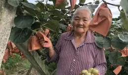 冬天這些傷胃果，卻是很多人心頭愛！腸胃不好的人再饞也要少碰