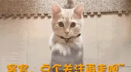 火車上吃啥最誅心啊？網友：燒雞配白酒，對面姑娘的口水都快流出