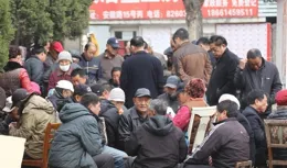 警惕「村推」騙局：守護農村老年人錢袋子