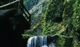 揭秘生命本質：相信的力量與能量共振