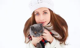 怎麽確保貓咪的健康壽命呢？