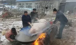 鄉村年味從「殺豬飯」開啟