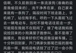 你會相信善有善報嗎？網友：冥冥之中，自有天意