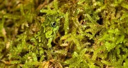 你認為能在工作中找到「passion」的人都有什麽共同特點？