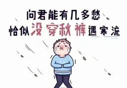 掏空家底裝出的家，真的太美了！