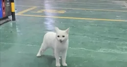 今日笑點：人家快遞都說了，請勿在路上開啟