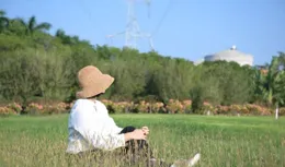 灣裏的花「開爆了」！它們的花語竟是......