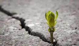 余華【兄弟】：成長就是學會在黑暗中尋找自己的星光