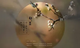 姑蘇：梅香如故