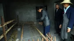 剪紙「出圈」：從傳統民俗到國潮新寵的破繭之路