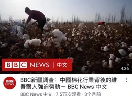棉花辣椒一個不放過！西方媒體頻造謠，新疆只要種地就是剝削？