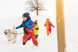 寧馬鐵路延期至明年試營運？假的，如何有效遏制網路謠言傳播？