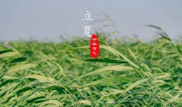 昨天，迎來了第一個節氣立春，那麽你知道24個節氣的具體時間嗎？