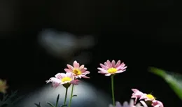 人一定要養面相，讓你越來越好看的5個方法