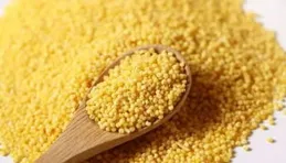 為什麽兩個「米」（米哈遊和小米）都這麽和其他友商不一樣？