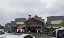 2025新春返滬第二站：湖北鹹豐到湖南張家界，登天子山看霧中仙界