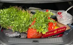 名場面又雙叒叕來了！