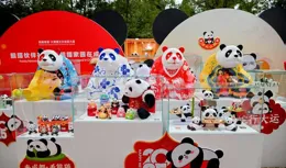 新春的「熊貓盛宴」: 熊貓文化點亮成都文旅