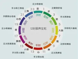 十二經絡與十二時辰養生