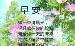 初七早安！在新的一年裏，願你心中有愛，眼裏有光，一路芬芳。