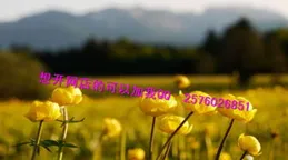 風雨同舟情未了，春暖花開愛更綿