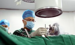 關節鏡手術是啥？一文了解關節鏡手術的關鍵資訊