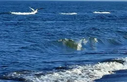 2025春夏流行色來了，這樣穿顯白減齡又高級