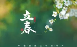 今日立春丨律回歲晚冰霜少，春到人間草木知