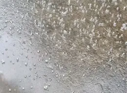 熊貓斬謠（2025年2月13日）