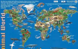 為了給動物園的老虎餵食，飼養員絞盡腦汁想出這些「花招」……