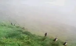 爆笑預警！2025開年這9個笑話，能承包你一整年的快樂！