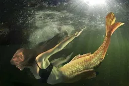 原著粉如何看待電視劇【鏡·雙城】的改編？