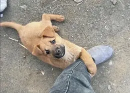 外地來的新女婿，過年最可疑的人，這都能全國統一啊。