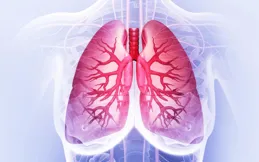 肺不好有哪些癥狀？身體發出的預警訊號別忽視