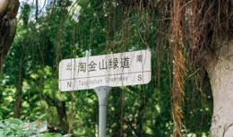 深圳散步指南 · 山水之間「淘金山」