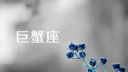 雅吉座春節踏實靠譜，表白更顯誠意與安全感