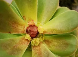 天秤座2025年：事業上升期，如何避免感情走下坡路