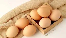 每天堅持吃一個雞蛋，或能預防2種慢性病？醫生：這樣吃有好處