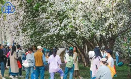 【一路繁花】第四期上，告別市集淚點多，墓誌銘哭得最兇
