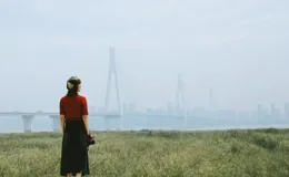 人生的韌勁：在風雨中堅韌，在離別中釋然