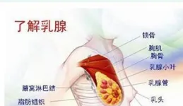 乳腺疼是怎麽回事？多種原因剖析與應對技巧