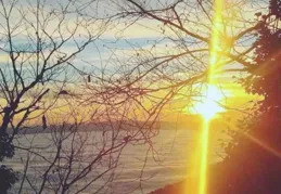 智繪雅逸丨簡約山水畫卷，夕陽亭樹，盡顯淡灰之美