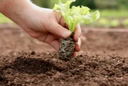 南京北站挖到古墓被停工？官方辟謠，考古發掘如何影響工程進度？