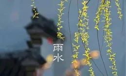 一夜春風起，萬物皆復蘇，願你擁抱春天，未來可期！