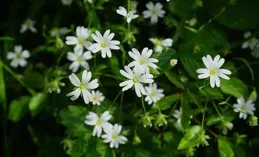 有沒有那種沙雕又不落俗套的小說？