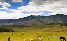 脫離中國百年的領土，中國用其他土地換回，如今成了中國禁地