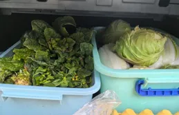 一年一度「後備箱大賽」開啟，滿滿當當全是愛！本周上班有調整，距下個假期還有…