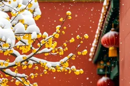 三首極美早春古詩，唯美了整個春天~