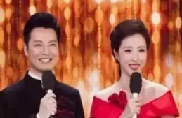 主持4屆春晚穩站C位，成功接棒北大才女李思思的龍洋，究竟強在哪