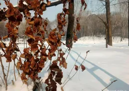 我做好了準備，迎接春天